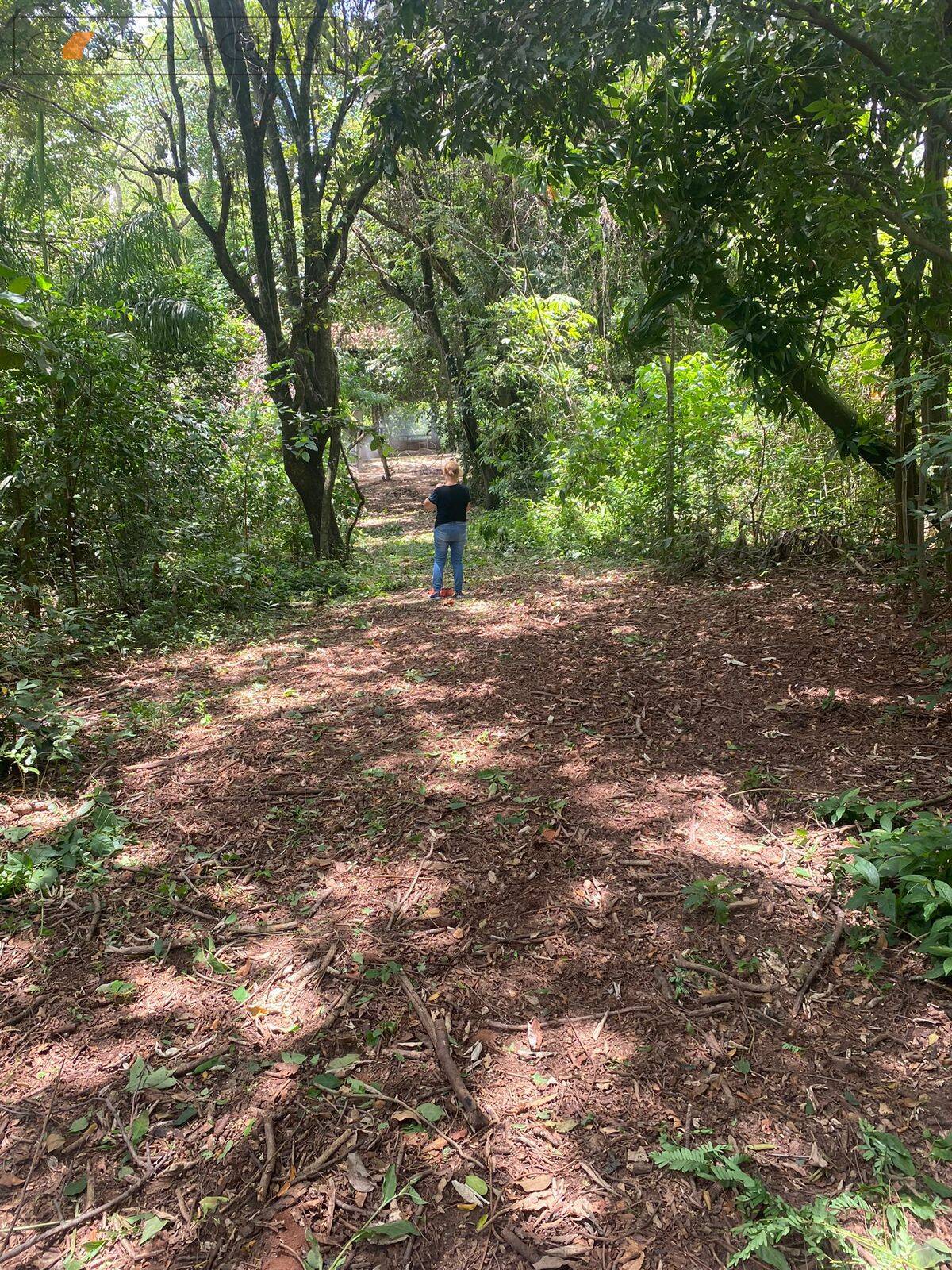 Fazenda à venda com 1 quarto, 1410m² - Foto 10