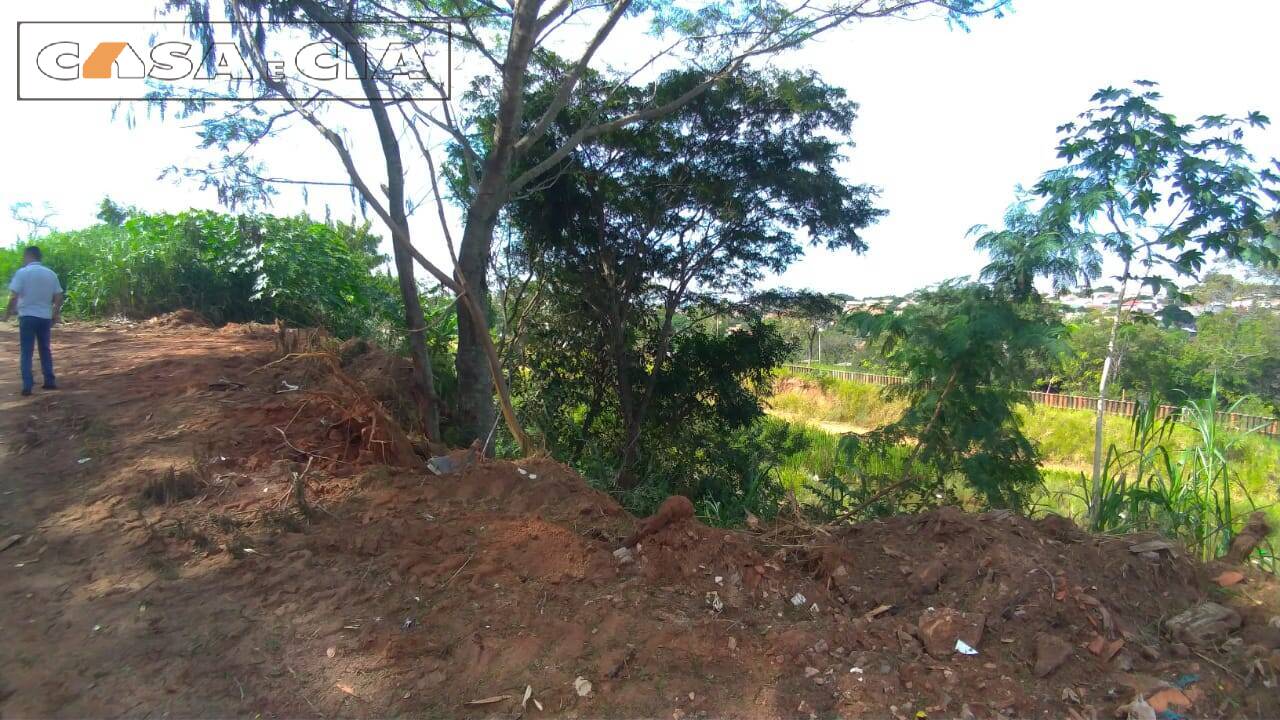 Terreno à venda e aluguel, 699m² - Foto 3