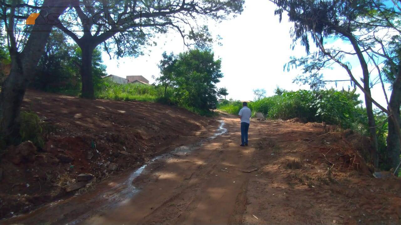 Terreno à venda e aluguel, 699m² - Foto 7